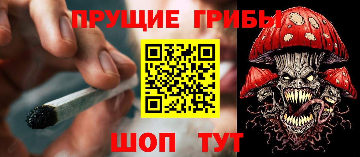 Галлюциногенные грибы GOLDEN TEACHER  Вход с VPN  Псилоцибиновые грибы MAGIC MUSHROOMS  Павловский Посад 